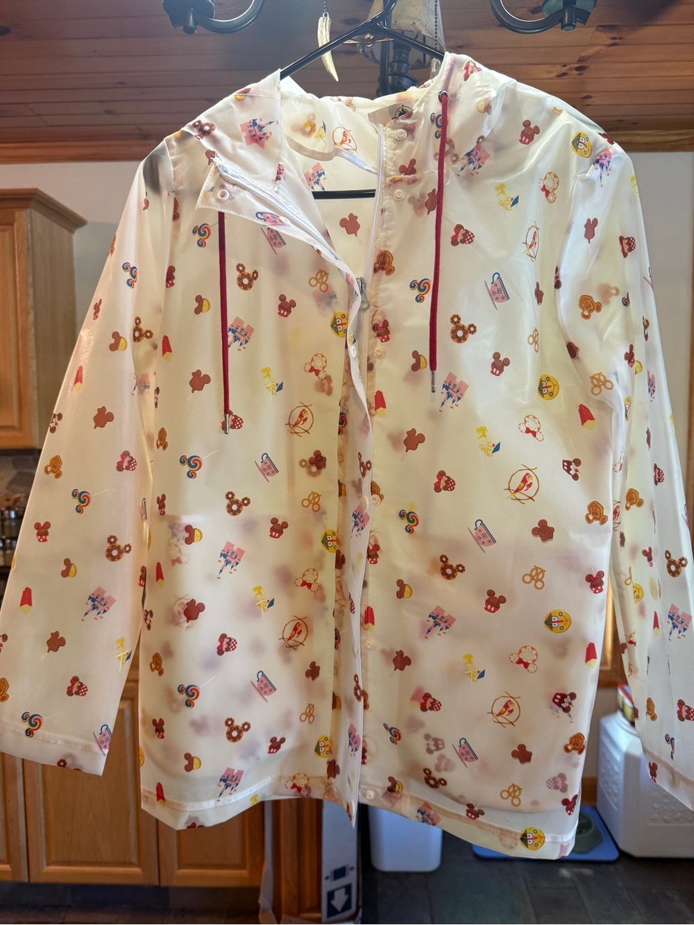 Adult Small Walt Disney Parks Hooded Raincoat with Colorful Character Print